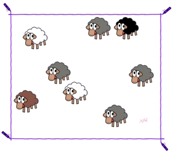 Sheep4